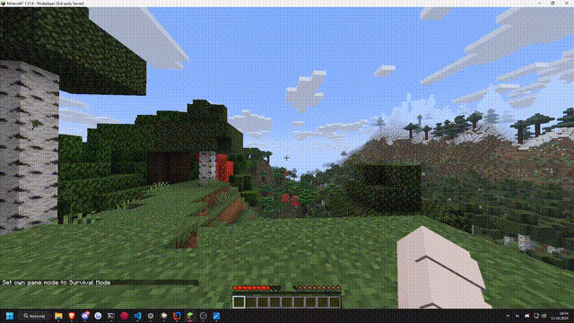feed